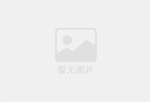 TD干粉输送机